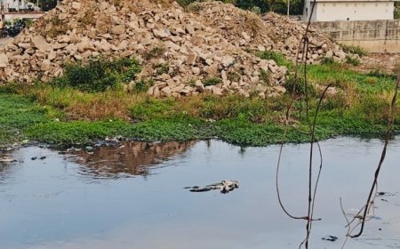 कोटा: एक ओर केडीए कंगाल, लोन से चल रहा काम, दूसरी ओर विकास के नाम पर धन की बर्बादी