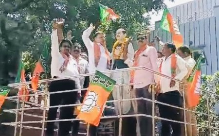 कोटा: टिपटा में भाजपा का स्थापना दिवस मनाया, वरिष्ठ कार्यकर्ताओं का हुआ सम्मान