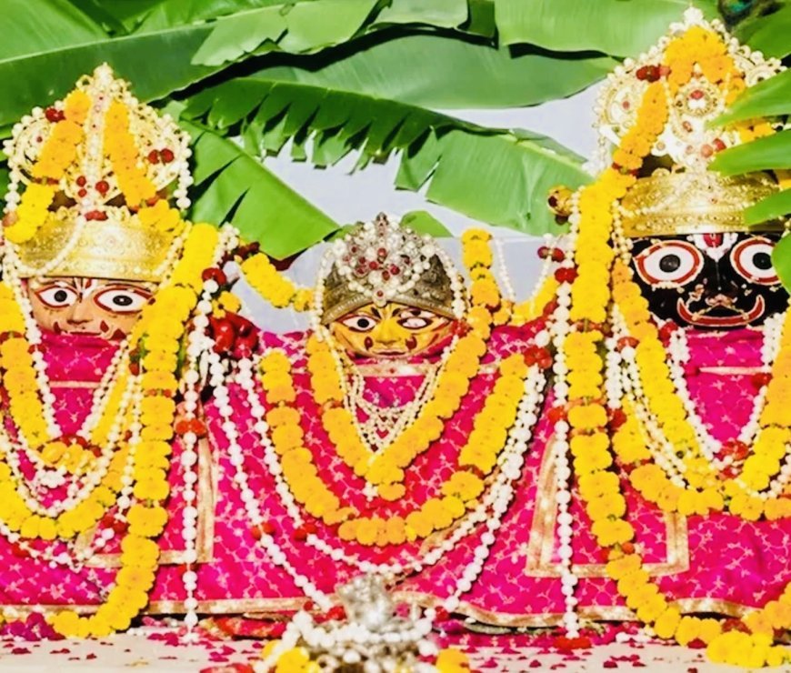 कोटा- ठंडे जल से स्नान और आमरस के भोग के बाद “बीमार” हुए भगवान, 14 दिन बंद रहेंगे जगदीश मंदिर के पट