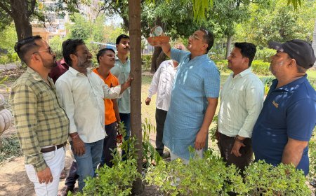 कोटा- आदर्श विद्यार्थी सेवा संस्थान ने शुरू किया परिंडा अभियान, पक्षियों के लिए बांधे परिंडे