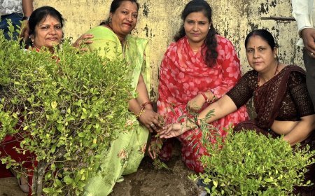 कोटा- विश्व पर्यावरण दिवस पर महिला कांग्रेस ने किया पौधारोपण