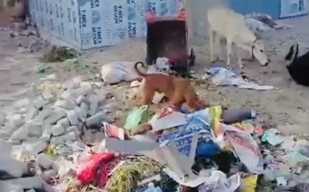 कोटा: नगर निगम की लापरवाही का खामियाजा भुगत रही अन्नपूर्णा रसोई, कचरे और नाले की दुर्गंध के बीच भोजन को मजबूर लोग