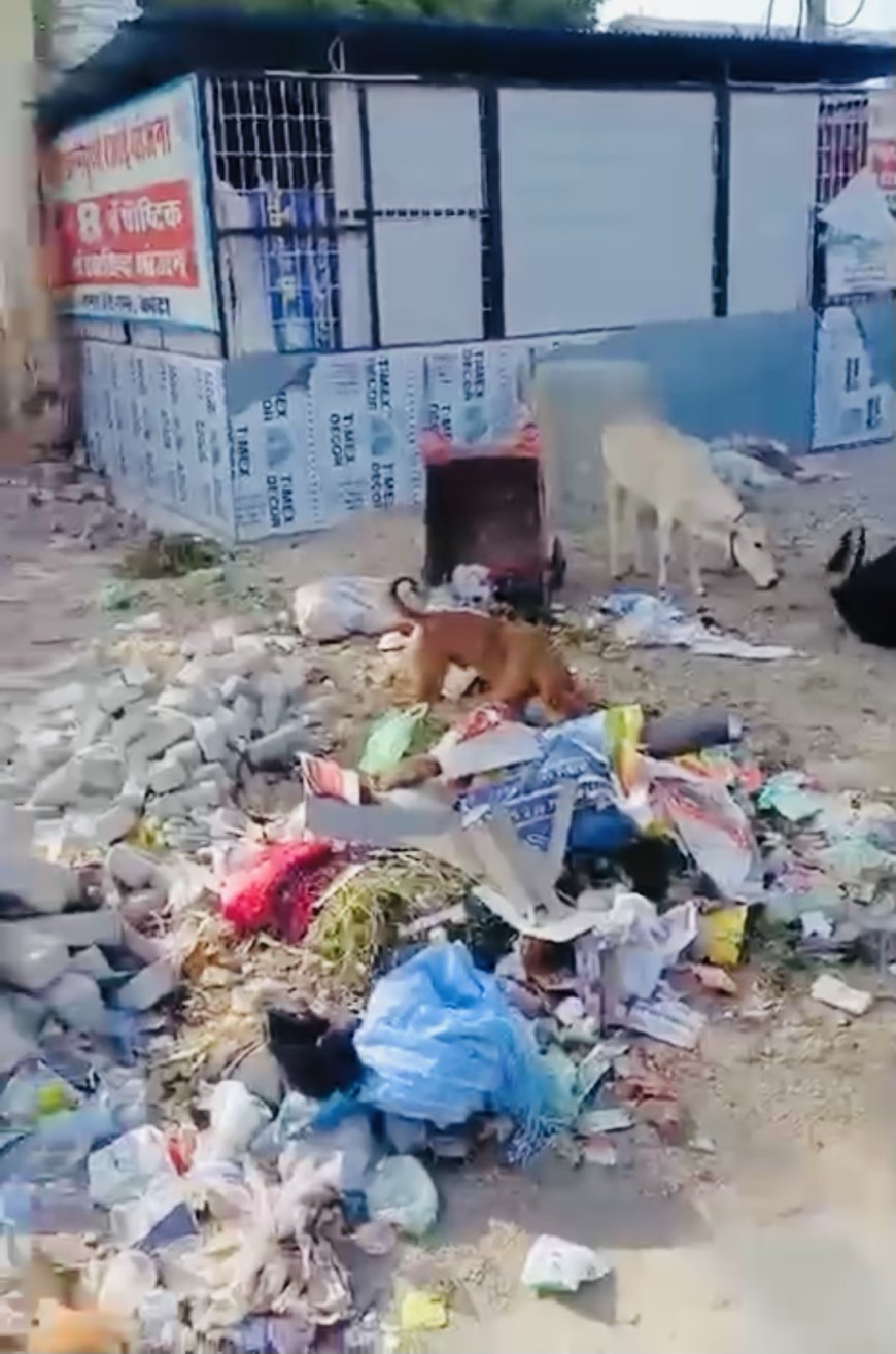कोटा: नगर निगम की लापरवाही का खामियाजा भुगत रही अन्नपूर्णा रसोई, कचरे और नाले की दुर्गंध के बीच भोजन को मजबूर लोग