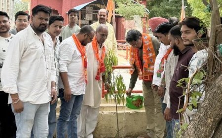 कोटा: सेवा कार्य और पौधारोपण के साथ मनाया भाजपा प्रदेशाध्यक्ष मदन राठौर का जन्मदिन