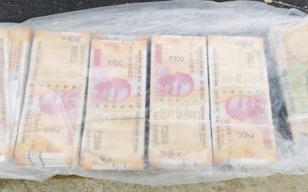 व्यापारियों की सतर्कता से पकड़ी गई नकली नोटों की खेप, 59 हजार के जाली नोटों के साथ युवक गिरफ्तार, बाजार में खपाने की थी साजिश, मध्यप्रदेश से लाया था जाली नोट