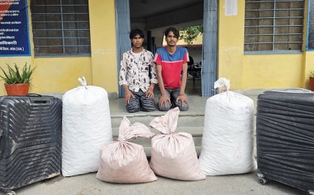 चित्तौड़गढ़ से पंजाब जा रही 54 किलो डोडा चूरा की खेप कोटा में पकड़ी, दो अंतरराज्यीय तस्कर गिरफ्तार
