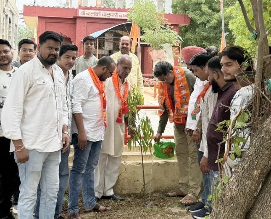 कोटा: सेवा कार्य और पौधारोपण के साथ मनाया भाजपा प्रदेशाध्यक्ष मदन राठौर का जन्मदिन